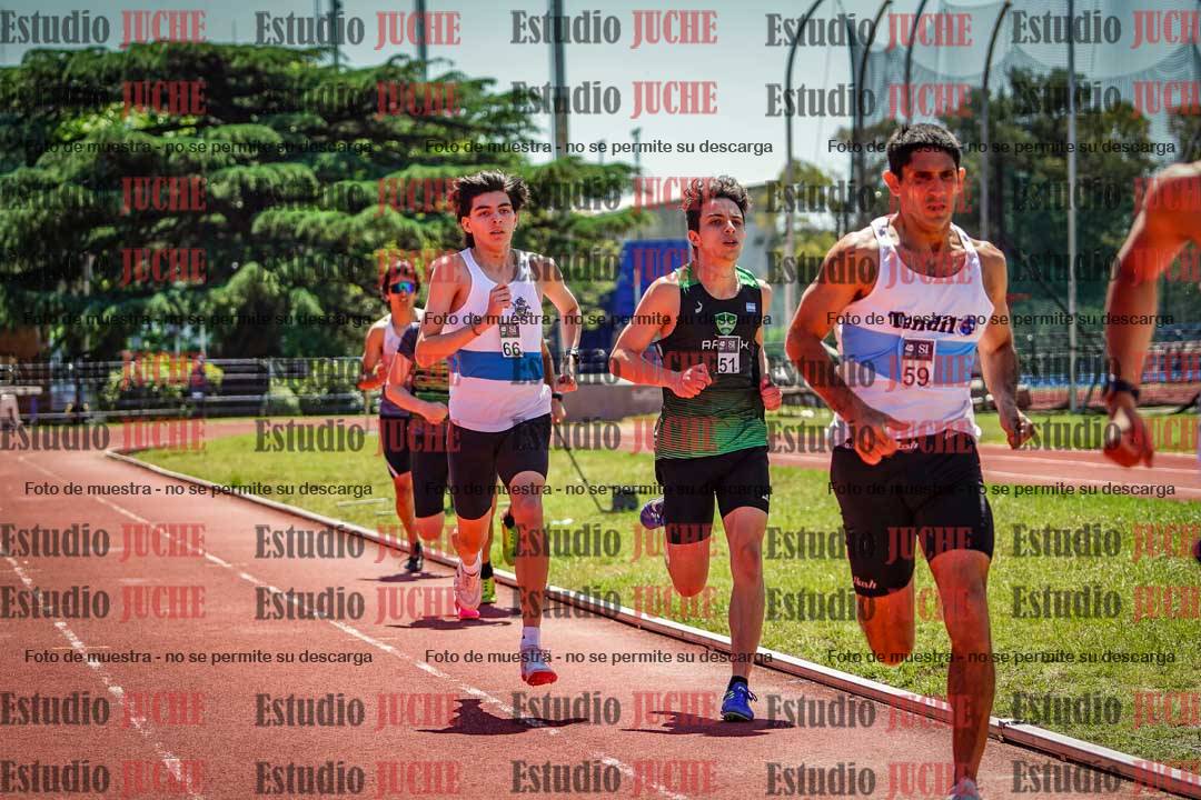 Fotos de los 800 m llanos de varones