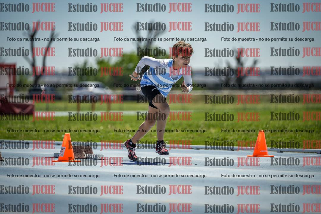 Fotos de los 60 m con vallas de varones