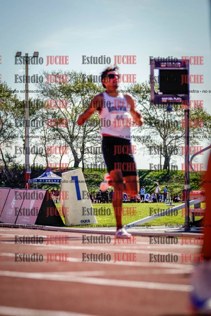 Fotos de los 800 m llanos de varones