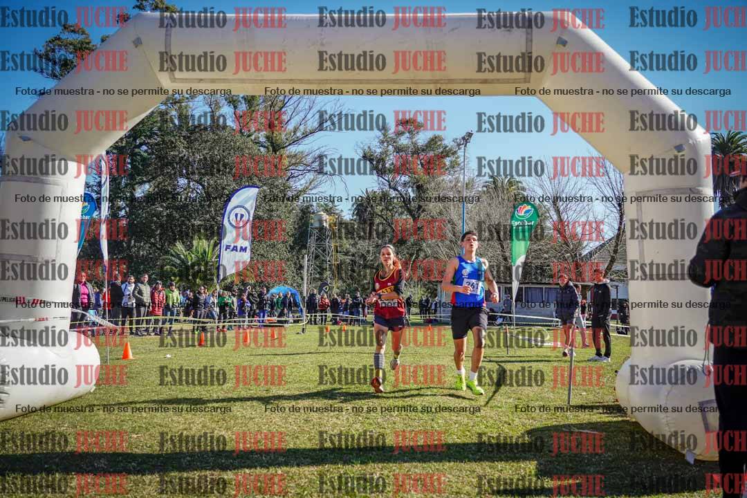 Fotos de la llegada del cross de 6000 m