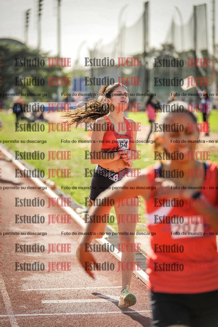 Fotos de los 800 m llanos de mujeres