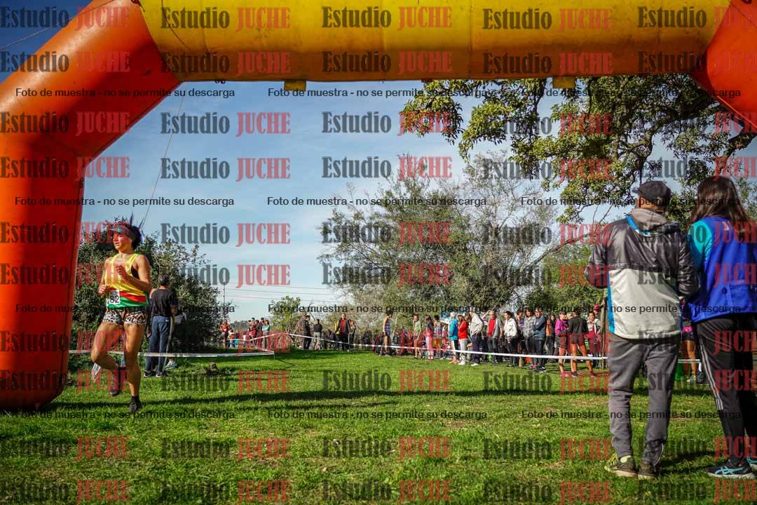 Fotos de la llegada del cross de 6000 m