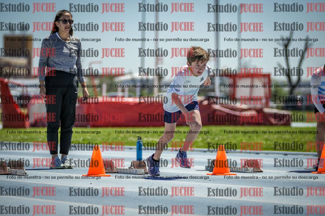 Fotos de los 60 m con vallas de varones