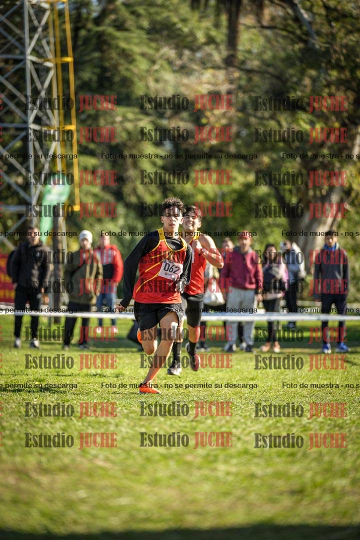 Fotos de la llegada del cross de 3000 m