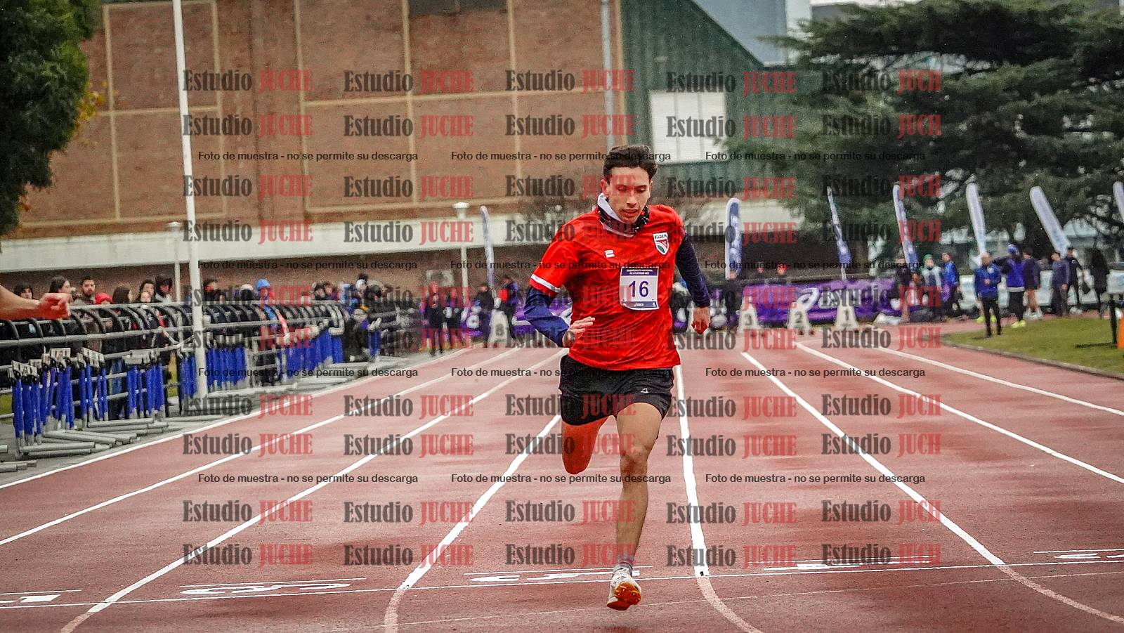 Fotos de los 100 m llanos de varones