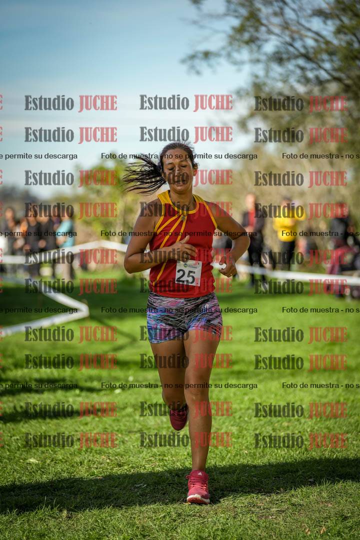 Fotos de la llegada del cross de 6000 m