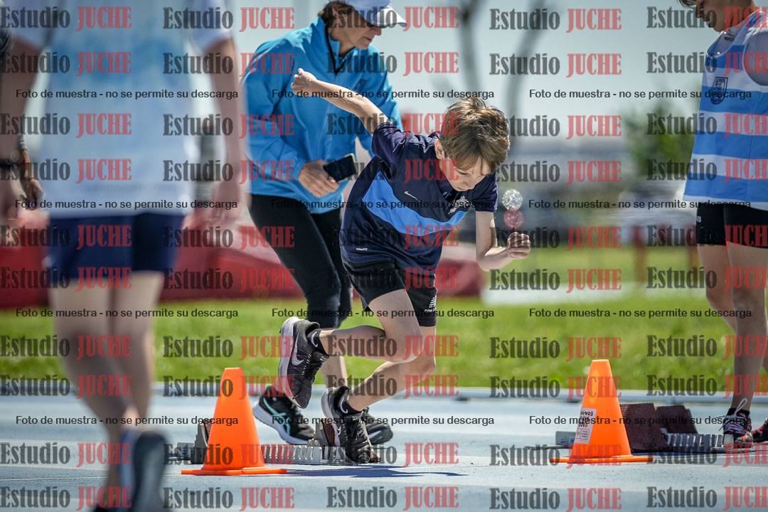 Fotos de los 60 m con vallas de varones