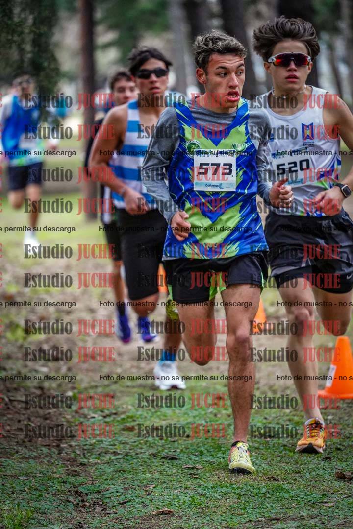 Fotos en el circuito