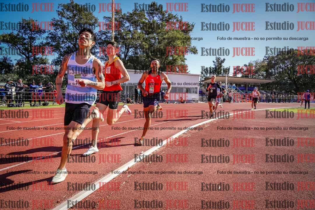 Fotos de los 800 m llanos de varones