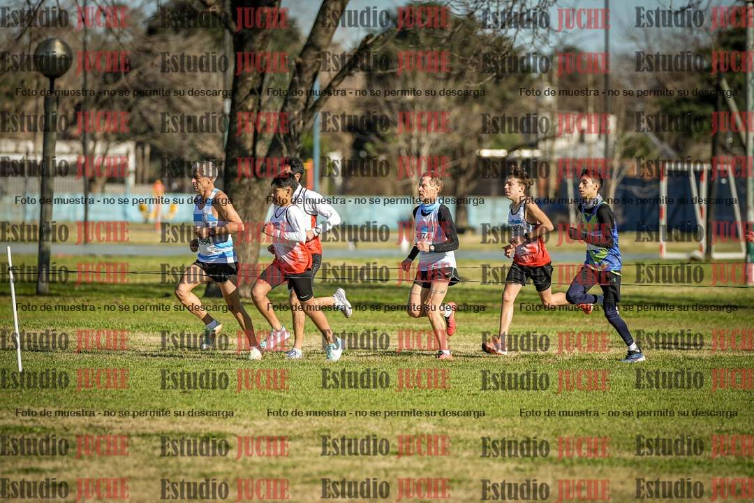 Fotos en el circuito