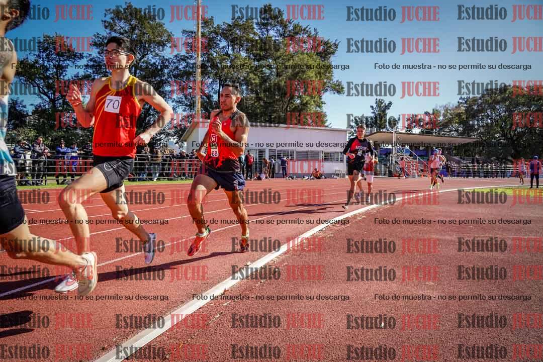 Fotos de los 800 m llanos de varones