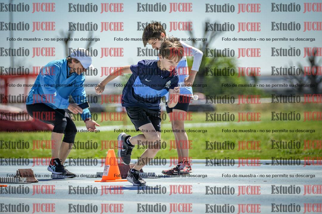 Fotos de los 60 m con vallas de varones