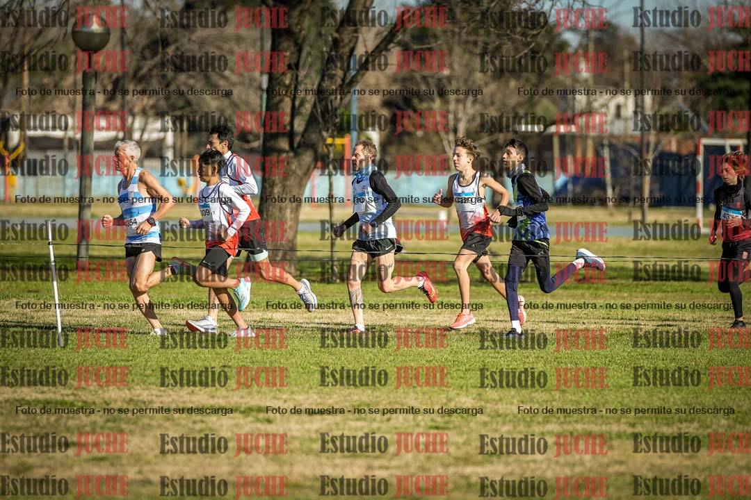 Fotos en el circuito