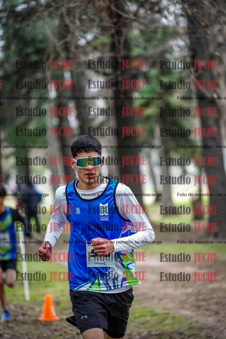 Fotos en el circuito