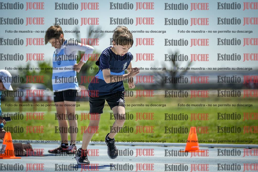 Fotos de los 60 m con vallas de varones