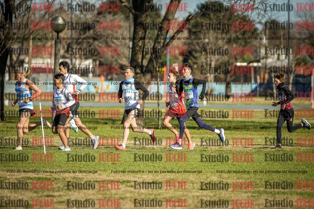 Fotos en el circuito