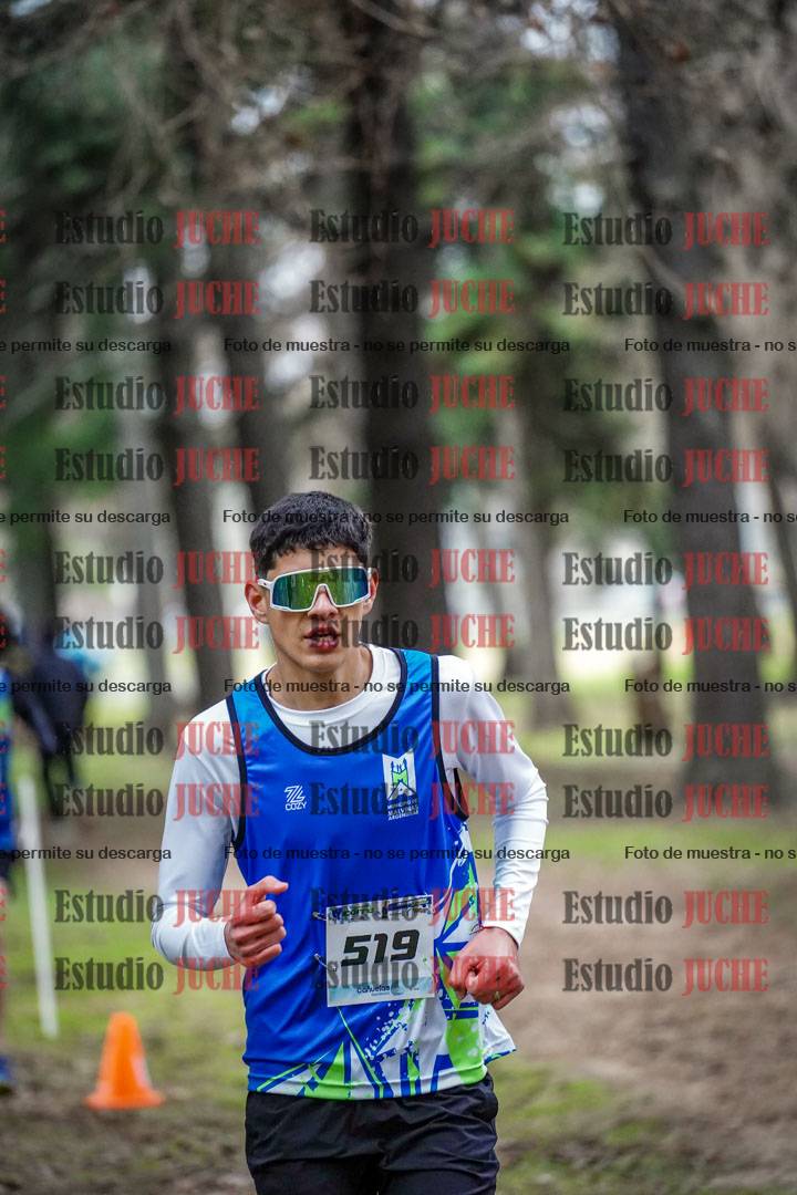 Fotos en el circuito