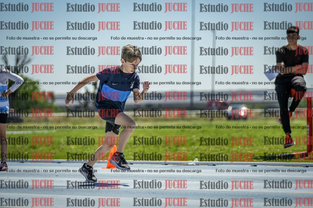 Fotos de los 60 m con vallas de varones
