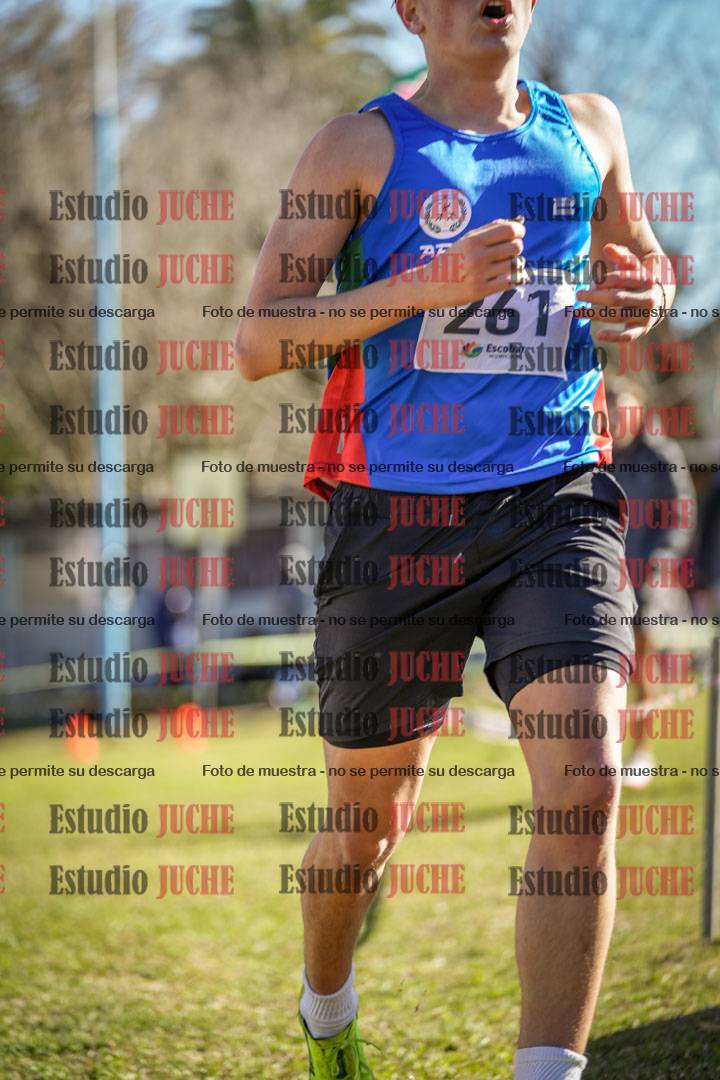 Fotos de la llegada del cross de 6000 m