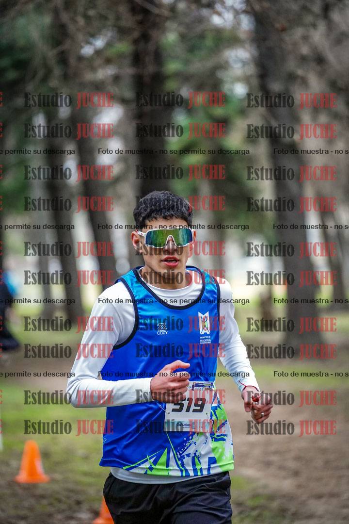 Fotos en el circuito