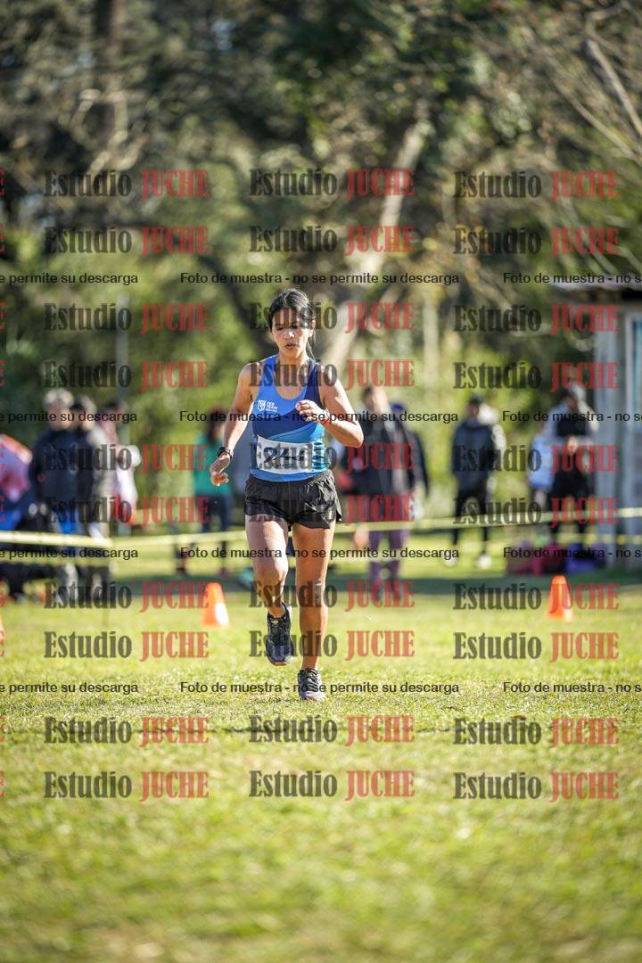 Fotos de la llegada del cross de 6000 m