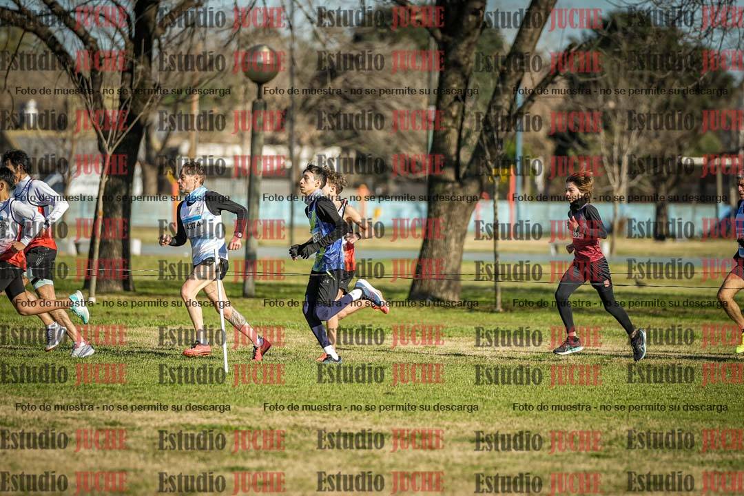 Fotos en el circuito