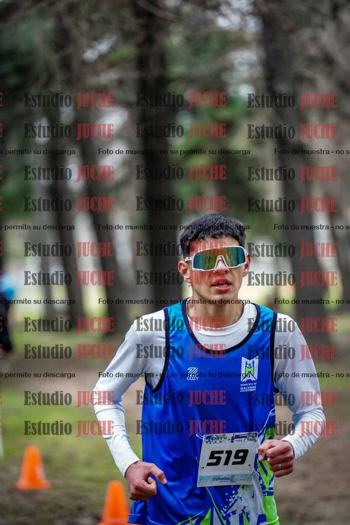 Fotos en el circuito