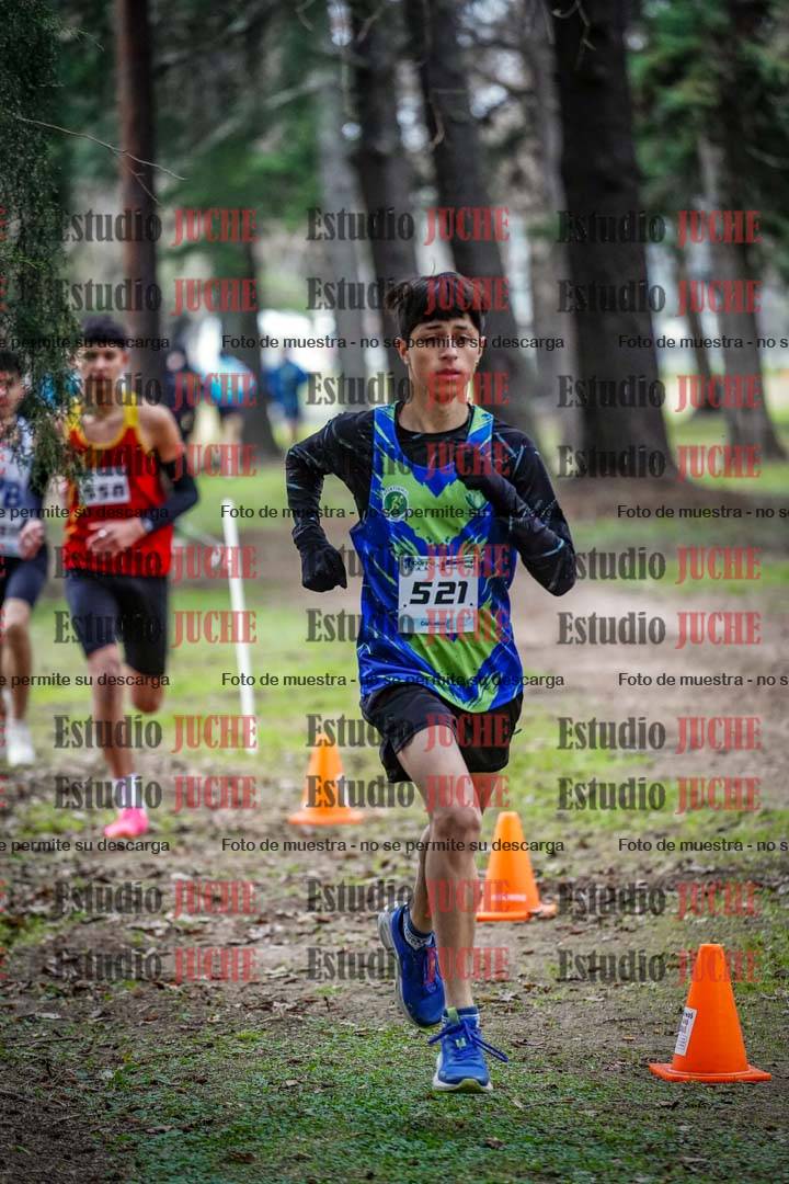 Fotos en el circuito