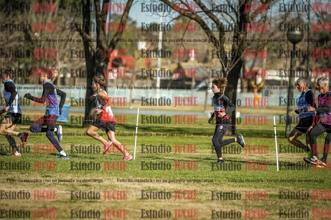 Fotos en el circuito