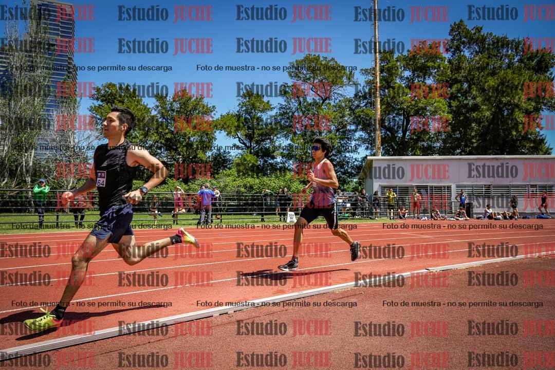 Fotos de los 800 m llanos de varones