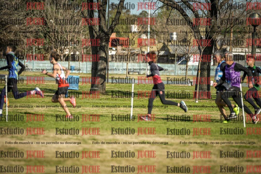 Fotos en el circuito