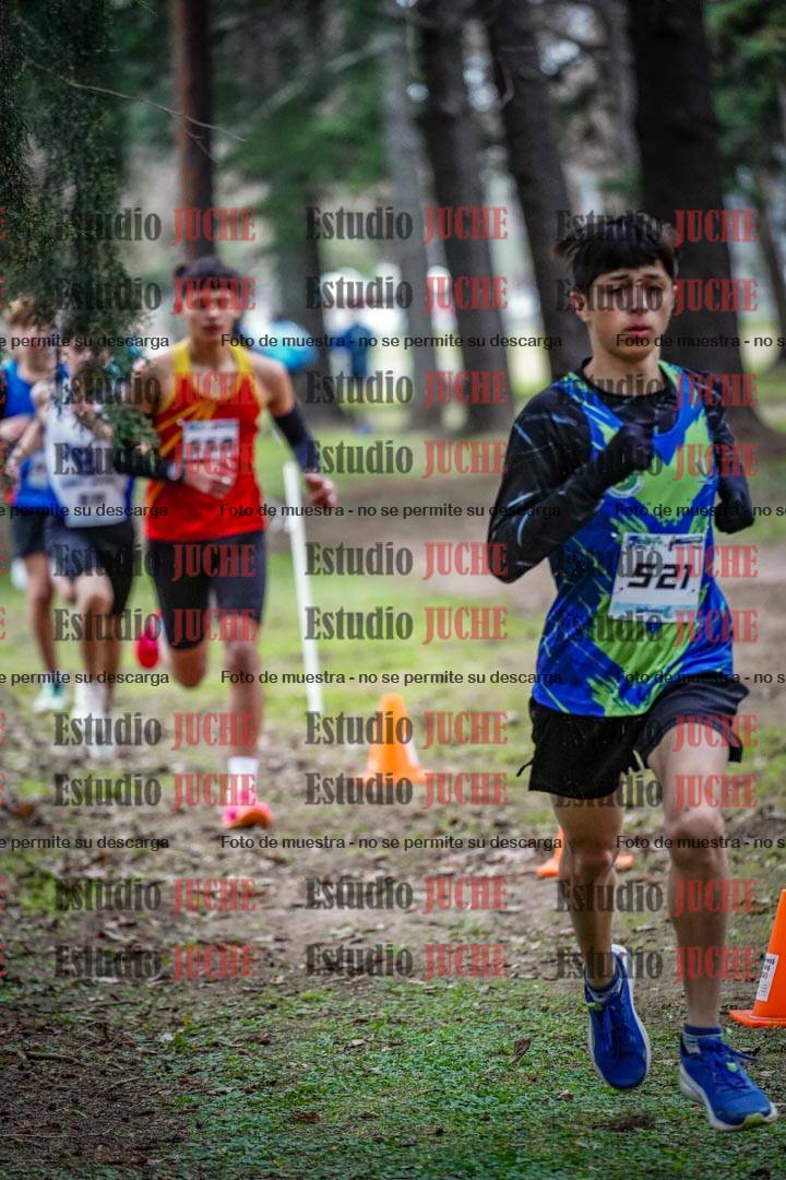 Fotos en el circuito