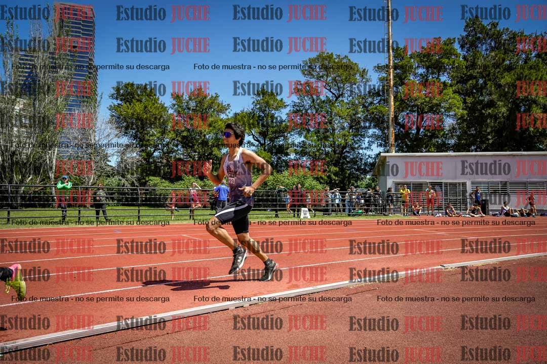 Fotos de los 800 m llanos de varones