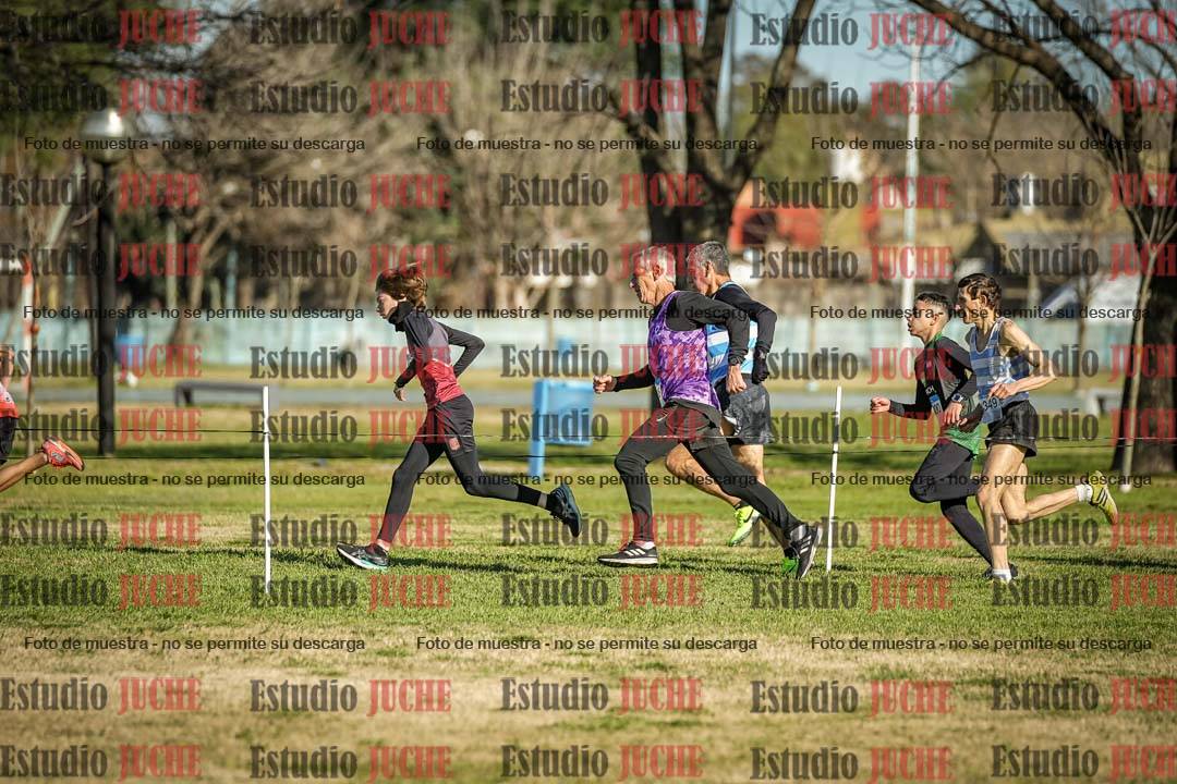 Fotos en el circuito