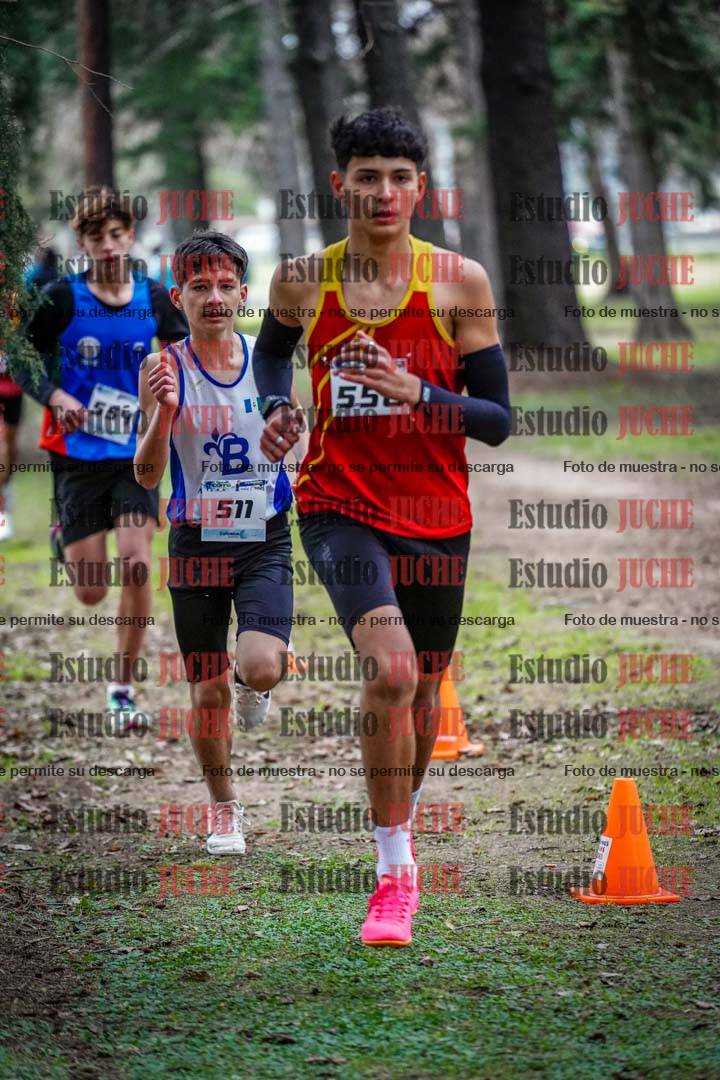 Fotos en el circuito