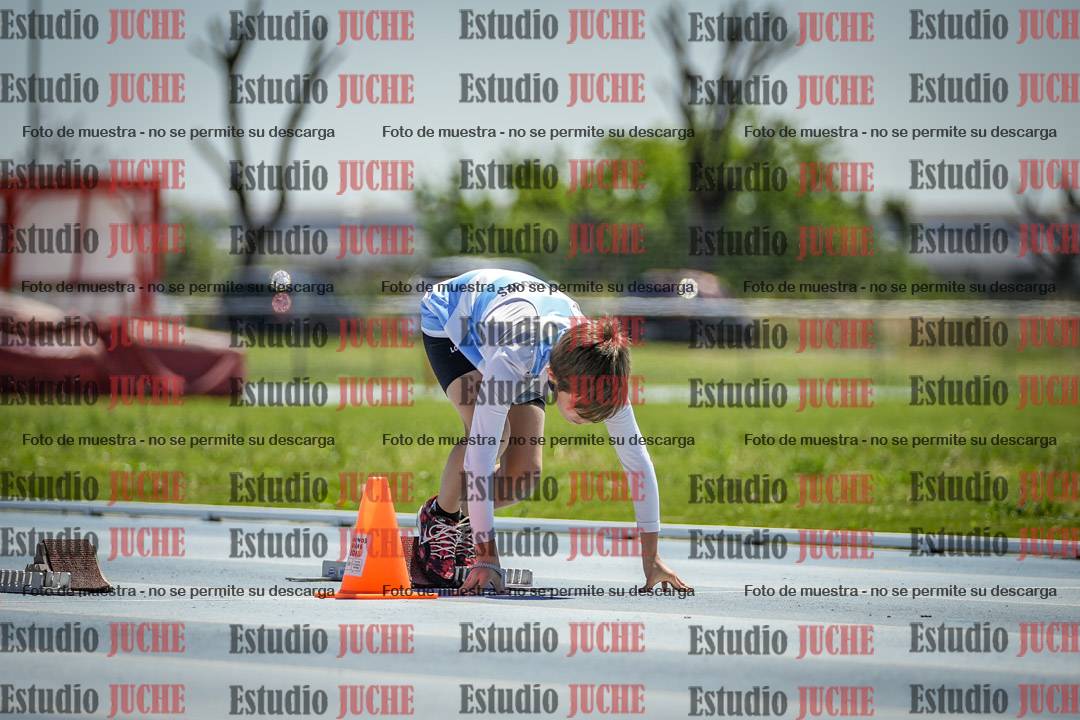 Fotos de los 60 m con vallas de varones