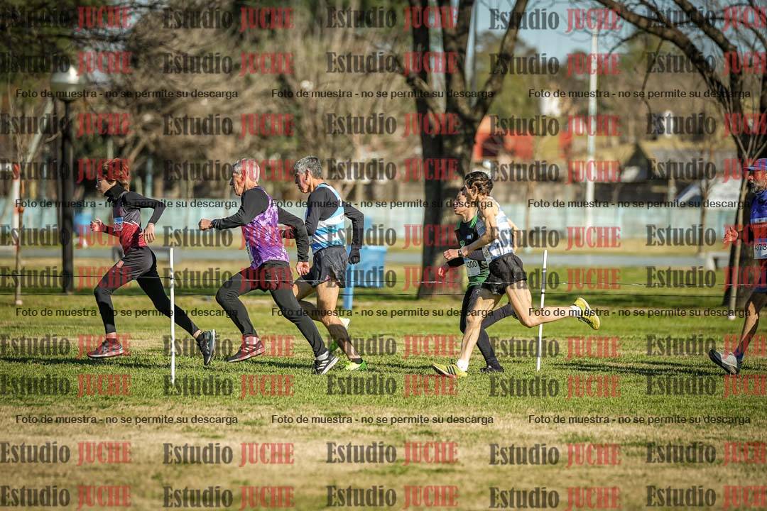 Fotos en el circuito