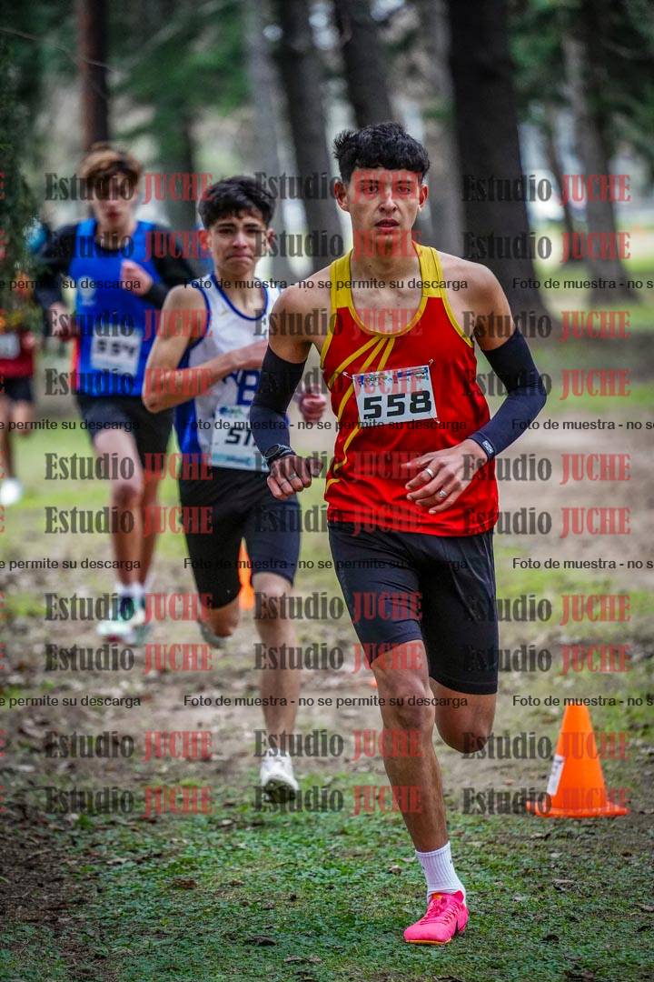 Fotos en el circuito