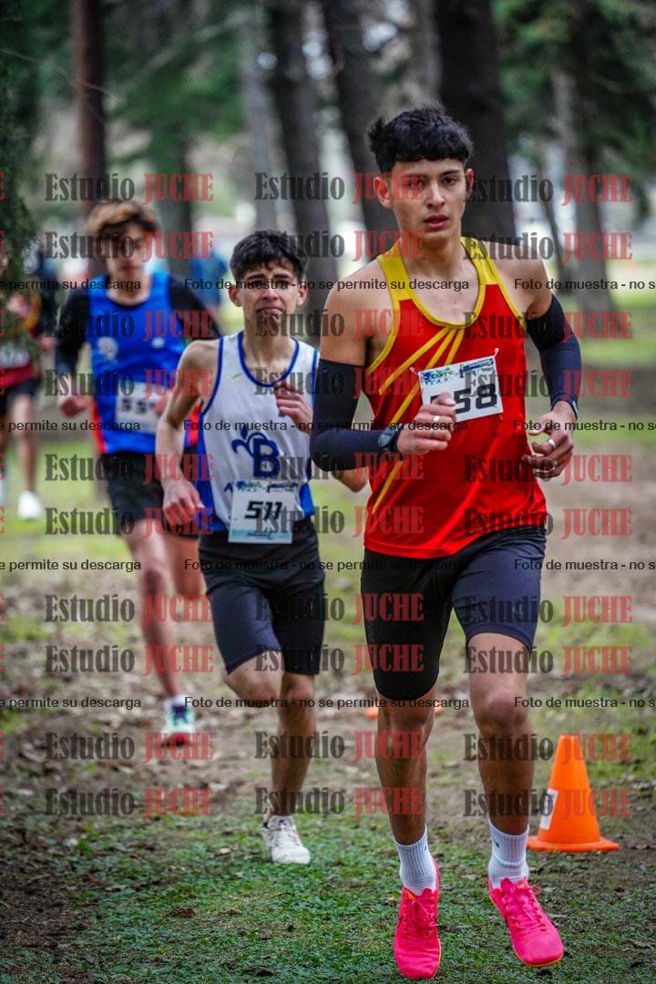 Fotos en el circuito