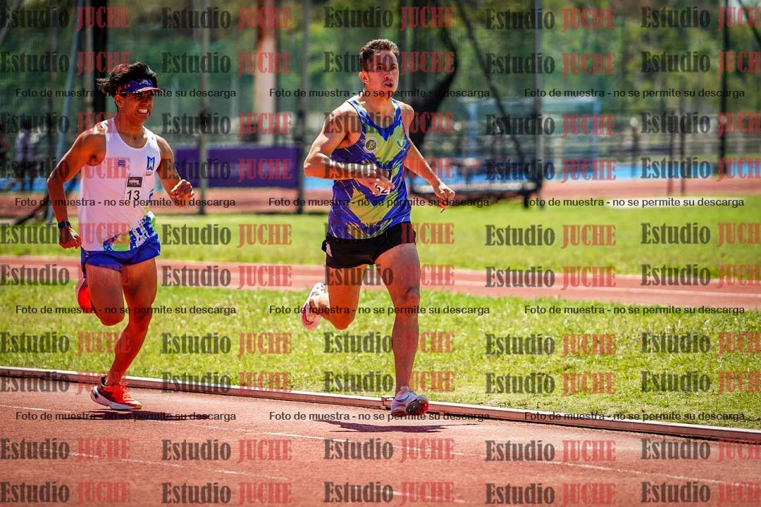 Fotos de los 800 m llanos de varones
