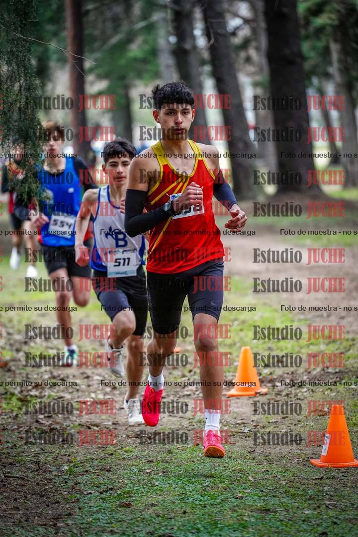 Fotos en el circuito