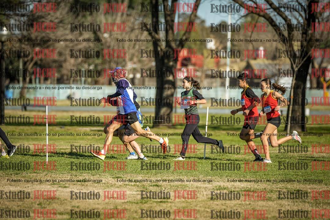 Fotos en el circuito