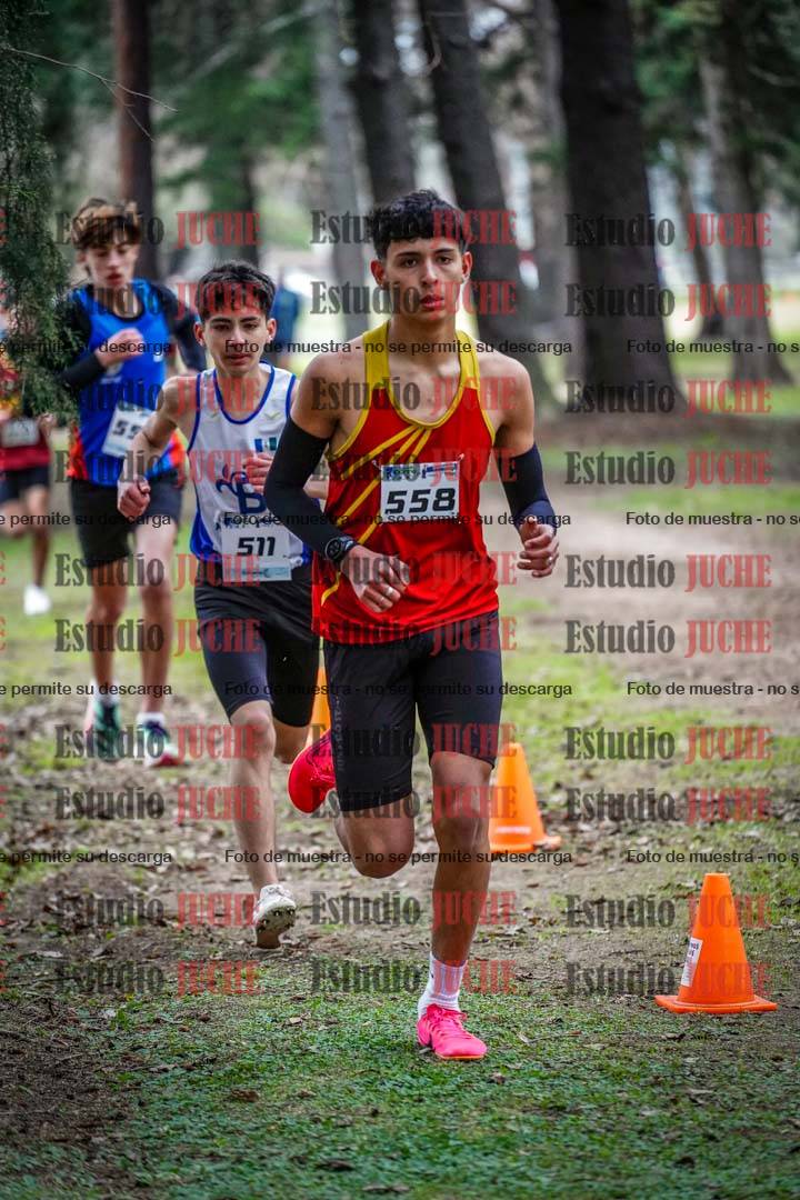 Fotos en el circuito