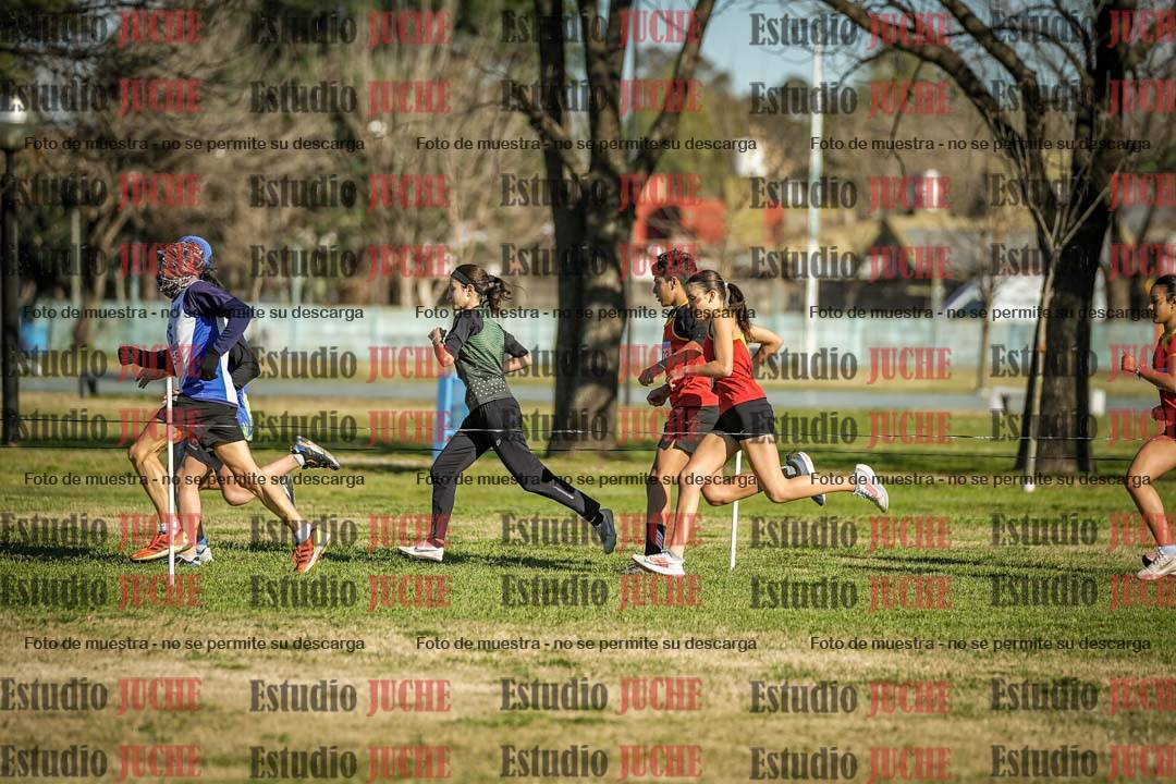 Fotos en el circuito