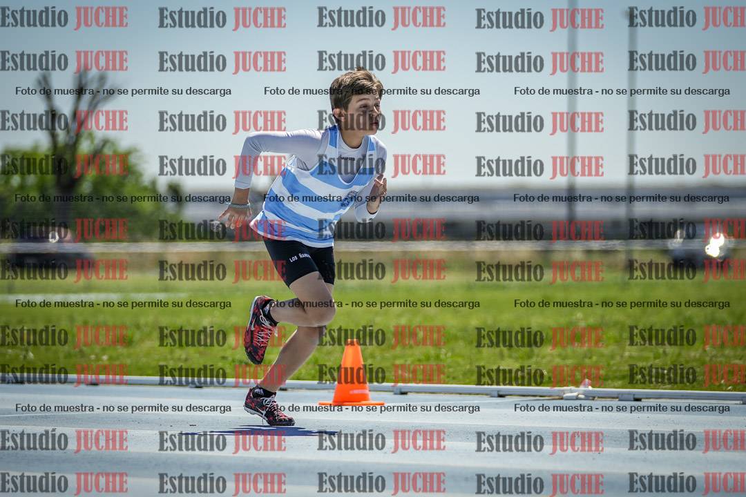 Fotos de los 60 m con vallas de varones