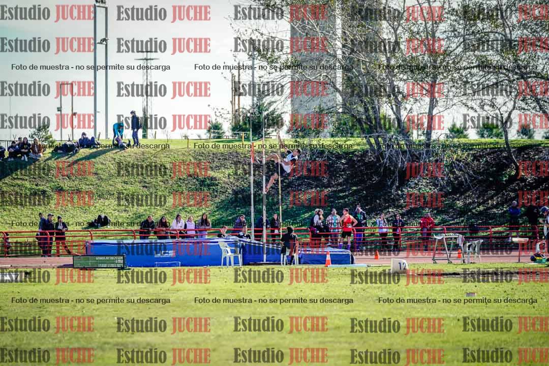 Fotos del salto con garrocha de varones - deca 8