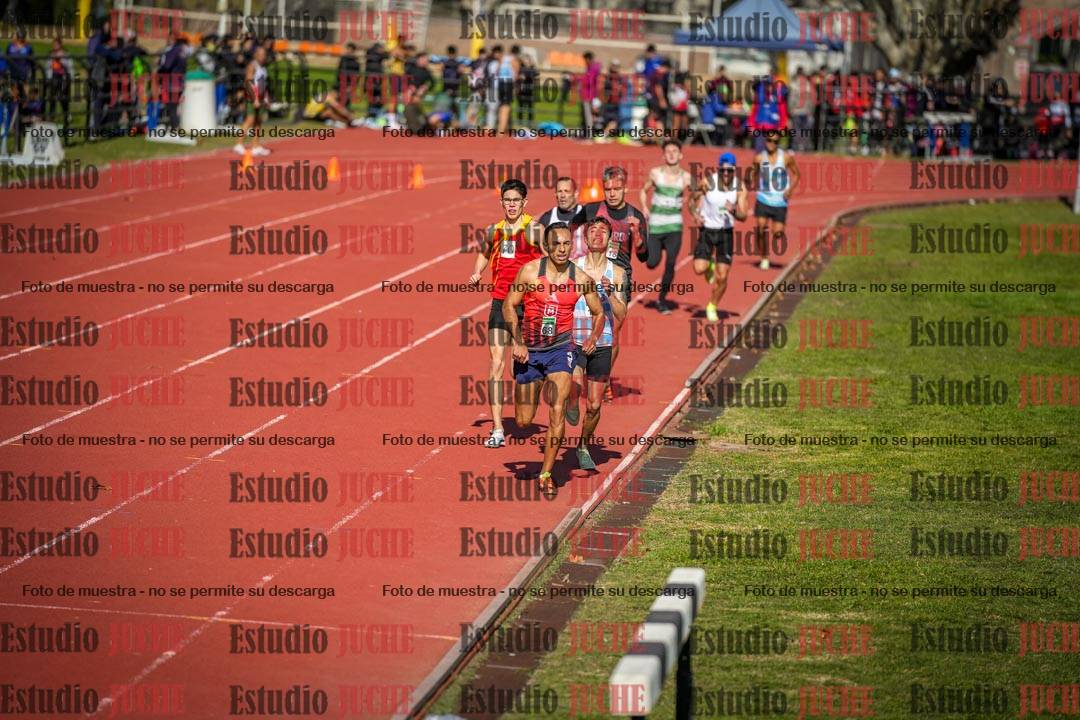Fotos de los 800 m llanos de varones