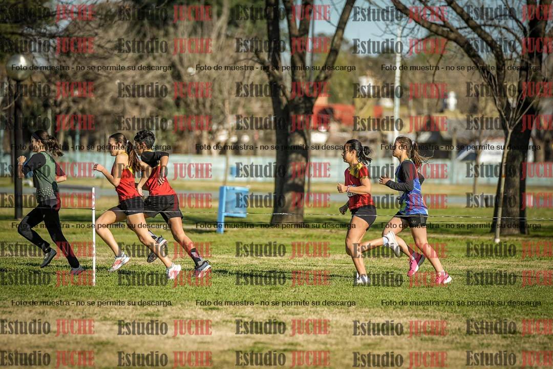 Fotos en el circuito