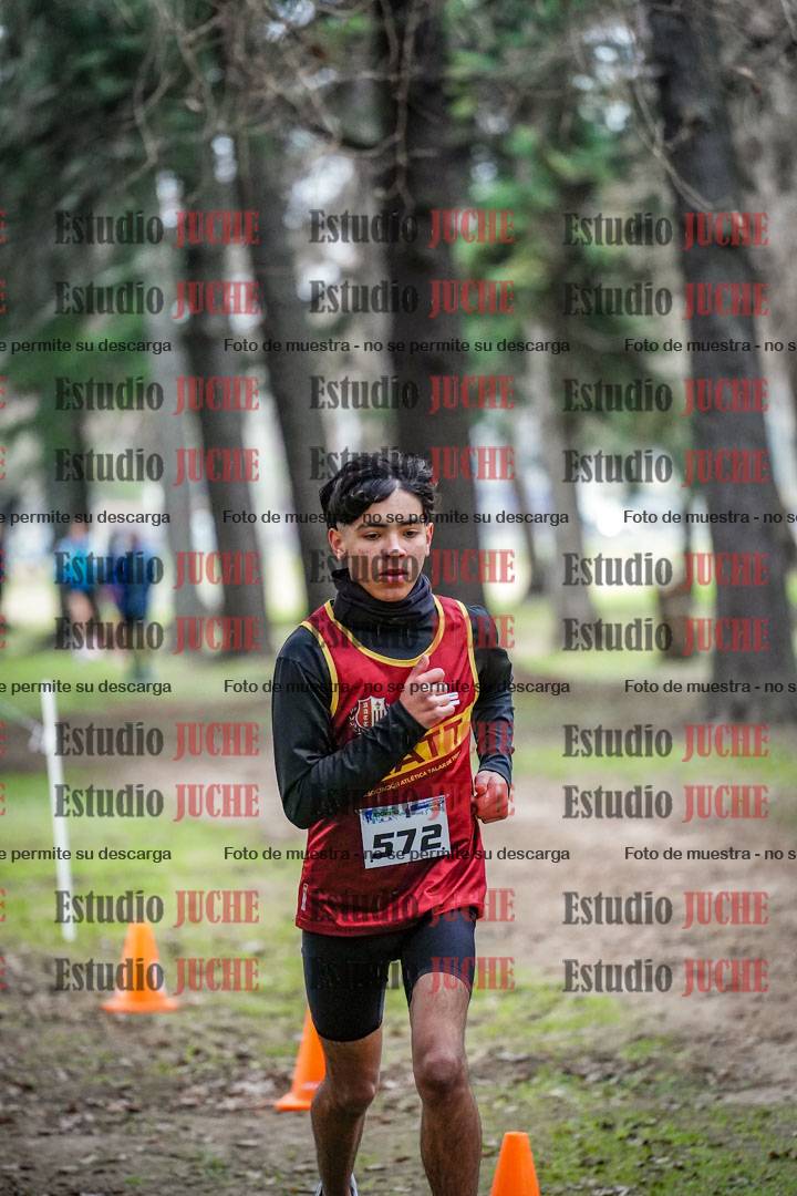 Fotos en el circuito
