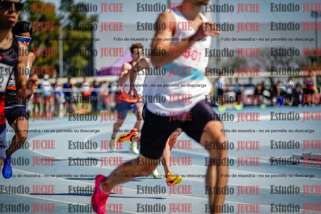 Fotos de los 800 m llanos de varones